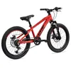 Goetze Sigma 20" – dětské MTB kolo, hliníkový rám 11", Náhled obrázku produktu 3