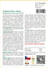 SAFLAX - Andělská trubka / růžová - Brugmansia suaveolens Náhled obrázku produktu 3