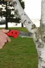FELCO Baumsäge Nr. 621 Sägeblatt 24 cm Produktbild-Vorschau 2