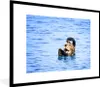 MuchoWow® Gerahmtes Poster Seeotter - Lustig - Wasser - Produktbild-Vorschau 1