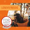 DOKAS Kaustange – Getreidefreier Premium Kausnack für Hunde Produktbild-Vorschau 8