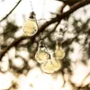 A string of solar-powered LED light bulbs hanging from a tree branch. Anteprima dell’immagine prodotto