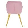 Rear view of a pink velvet chair with gold legs. Náhľad obrázku produktu
