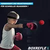 BOXREFLEX Boxen Training Ball Reflex Reaktions Speed Produktbild-Vorschau 6