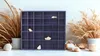 Drewniana półka Woodweaver granatowa, 28 przegródek, Podgląd zdjęcia produktu 8