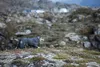 Hurtta Extreme Overall, Größe:65M Produktbild-Vorschau 7