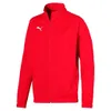 PUMA Herren Sport Pullover Liga Sideline Hoodie Fitness Produktbild-Vorschau 10