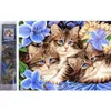 Norimpex Diamond Gemä lde Drei Pferde in Blumen 30x40cm Produktbild-Vorschau 8