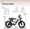 W66 E‑Fatbike für Erwachsene, 65 Nm, 48V 13,5Ah, Produktbild-Vorschau 13