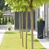 A rain barrel is placed next to a house, with trees and a lawn in the foreground. Podgląd zdjęcia produktu