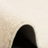 Hochflor Velours Teppich Weich Modern Einfarbig, Produktbild-Vorschau 3