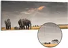 DEQORI Hybrid Leinwand Bild 150x60 cm 'Savannen Dämmerung' Produktbild-Vorschau 1