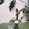 A table and chair set in an outdoor setting with plants. Produktbild-Vorschau