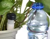 Verk 27163 Automatický dávkovač vody do izbových rastlín 2 Náhľad obrázku produktu 4