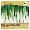 Samenliebe  Lauchzwiebel Samen | Ischikrona - winterhart - Produktbild-Vorschau 1