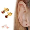 Medizinische Ohrstecker / Gesundheitsstecker / Produktbild-Vorschau 1
