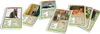 Chats, quatuor (jeu de cartes) Voir les images du produit 5