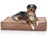 Knuffelwuff Hundekissen Lesedi aus Cord mit Produktbild-Vorschau 3