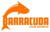 Barracuda Stahl-Schlauchschelle 1,5 Zoll Saug 42-46 mm Produktbild-Vorschau 5