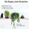 Natural Goods Berlin Regalwinkel WILMERSDORF, Regalhalter, Produktbild-Vorschau 3