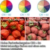 Comparison of LED lamp quality based on CRI values, showing strawberries under different lighting conditions. Produktbild-Vorschau