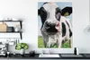MuchoWow® Poster Kuh - Wiese - Natur - Tiere - Gras 90x120 Produktbild-Vorschau 3