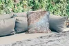 MuchoWow® Outdoor Kissen - Muscheln - Abstrakt - Natur - Produktbild-Vorschau 2