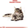 ROYAL CANIN FBN Maine Coon - Nassfutter für Katzen - Beutel Produktbild-Vorschau 5