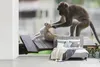 MuchoWow® Fototapete für Wohnzimmer oder Schlafzimmer Produktbild-Vorschau 5