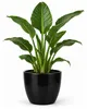 Floran Blumentopf „Boule“ - schwarz - glanzend - Keramik - Produktbild-Vorschau 1