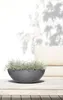 Výsadbový květináč Ecopots Vienna plastový Ø 50 cm V 18 cm Náhled obrázku produktu 4