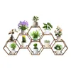 Support pour plantes, grande étagère en bois pour plantes, Voir les images du produit 1