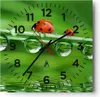 Wanduhr - Quadrat - Glasuhr - Marienkäfer Wasser Grün Produktbild-Vorschau 1