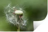 MuchoWow® - Aufkleber Produktbild-Vorschau 1