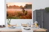 MuchoWow® Poster Hirsche - Nebel - Herbst 180x120 cm - Produktbild-Vorschau 3