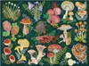 World of Mushrooms. 1000 Piece Puzzle Produktbild-Vorschau 2