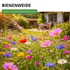Bienenweide Blumenmischung - 100 g Samen für Bienenwiese - Produktbild-Vorschau 2