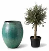 Drzewko oliwne w donicy ceramicznej Provencelia COCOON, Podgląd zdjęcia produktu 6