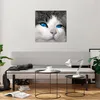 Bilder auf glas - Katze Tiere blaue Augen - 60x60cm - Produktbild-Vorschau 6