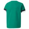 Puma Teamrise Trikot Kurzarm Kinder - Grün Produktbild-Vorschau 4
