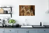 MuchoWow® Poster Sonne - Erdmännchen - Familie 60x40 cm - Produktbild-Vorschau 3