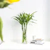 Transparante glazen vaas, 40 cm hoog, geschikt voor bloemen Productafbeelding-voorbeeld 4