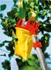 WOLF-GARTEN MS-Obstpflücker RG-M mit Gelenk, multistar Produktbild-Vorschau 6
