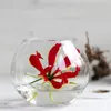 Kugelglas im Durchmesser 6, 8, 10 und 12cm wählbar | Produktbild-Vorschau 6