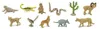 Safari Ltd Desert TOOB, 3 Jahr(e), Desert, Mehrfarbig Produktbild-Vorschau 10