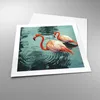Poster - Poster ohne Rahmen - Rosa Flamingos Wasser - 50x50 Produktbild-Vorschau 3