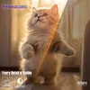 A fluffy kitten stands on its hind legs in a sunlit room, with a diagonal overlay dividing the image and displaying marketing text and icons. Produktbild-Vorschau