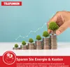 A hand is placing a small tree on top of a stack of coins, symbolizing growth and savings. A graph line shows an upward trend. Produktbild-Vorschau