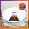 A white automatic pet feeder with kibble in one compartment, displayed on a wooden stand. Anteprima dell’immagine prodotto