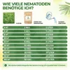 SF Nematoden gegen Ameisen- 20 Mio. für 40m² Mittel gegen Produktbild-Vorschau 3
